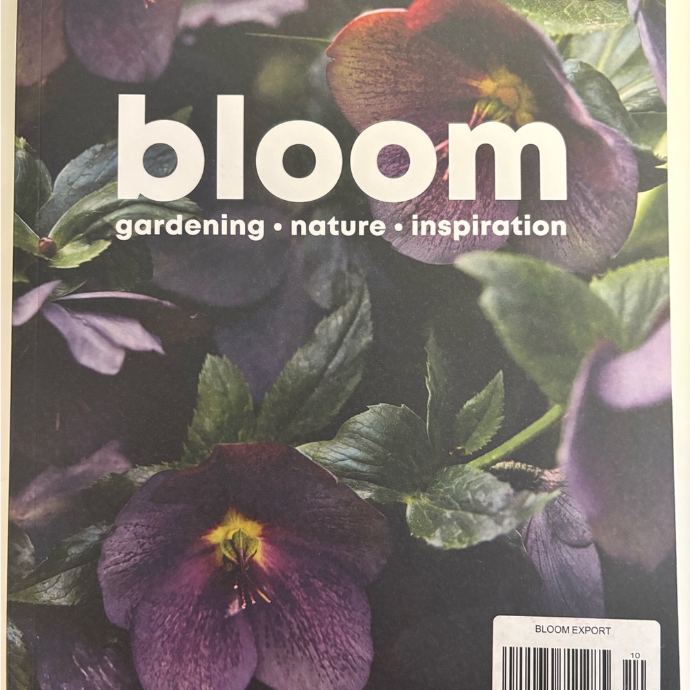 bloom Issue 10